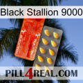 Black Stallion 9000 new01